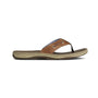 Sperry Men's Baitfish Thong Sandals, Tan