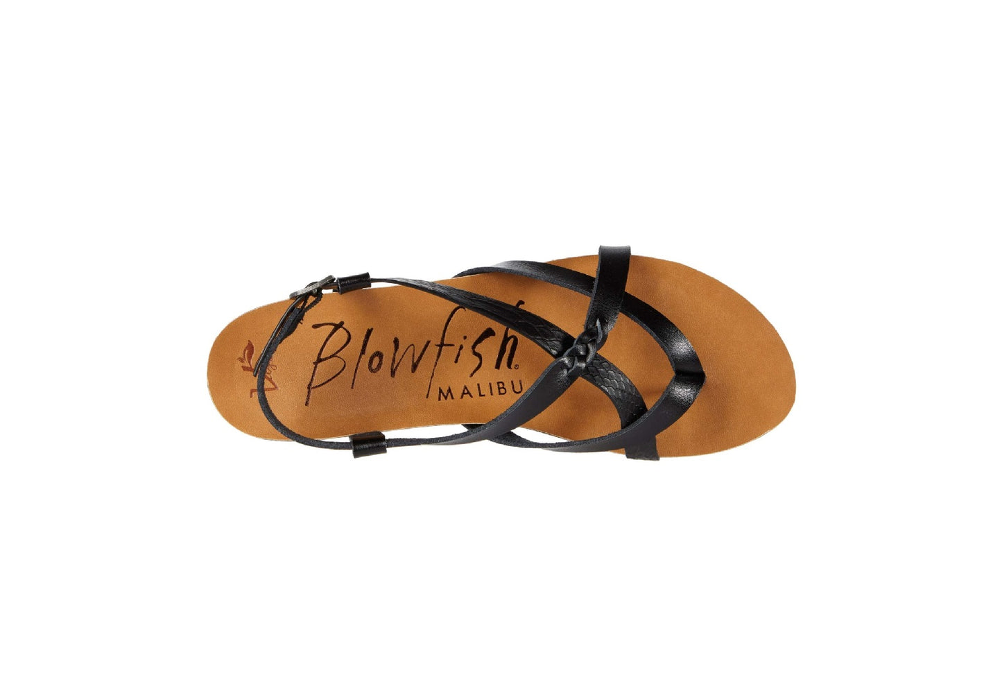 Blowfish Malibu Women's Granola-B Sandals, Black Snake Charmer