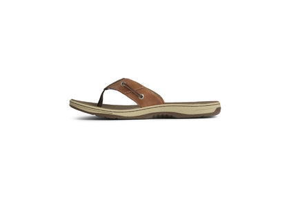 Sperry Men's Baitfish Thong Sandals, Tan